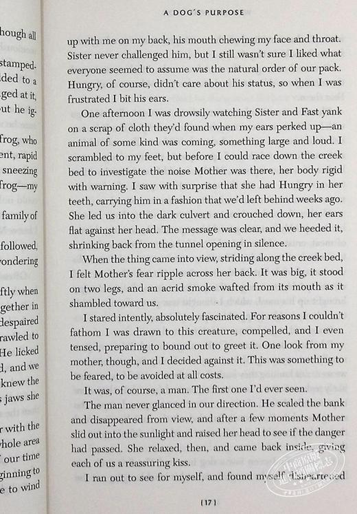 预售 一条狗的使命 新版 英文原版 电影小说 畅销书籍 同名电影感人上映 A Dog's Purpose W 布鲁斯 卡梅伦 美国年度好读小说奖 商品图6