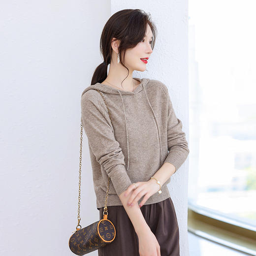 针织羊毛连帽卫衣洋气减龄百搭时尚简约上衣CC-101-1801 商品图2