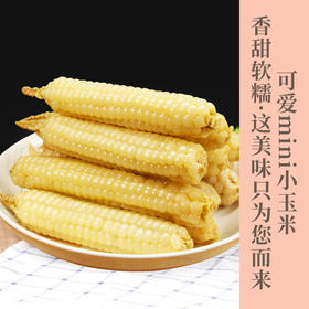 西双版纳—拇指小玉米香糯微甜   饱满弹牙   恰到好处   非转基因可以放心吃 真空包装    携带方便