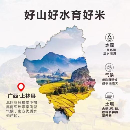 正庄上林金油粘5kg/袋  10斤装 商品图1