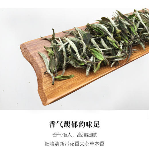 【明前头春 芽毫肥壮】天苗白茶 2022年 特级白牡丹 福鼎白茶 50g/罐（天猫同款） 商品图2