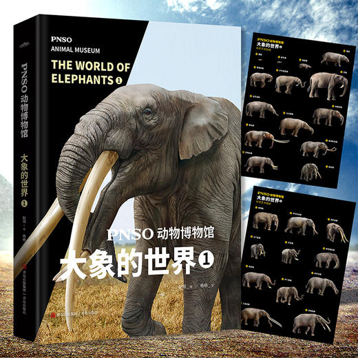 PNSO动物博物馆：大象的世界 商品图0
