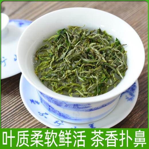 2023年新茶 云南高端春茶高山银丝绿茶叶 清茶叶春尖毛尖毛峰茶 500g全国发货 商品图1