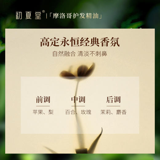 【初夏堂】摩洛哥护发精油柔顺滑防毛躁修护卷发烫染干枯分叉受损免洗 商品图3