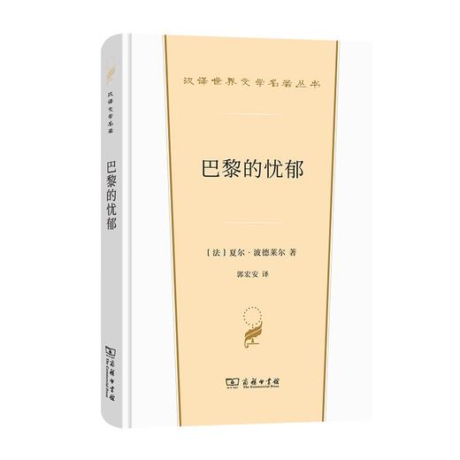 巴黎的忧郁（汉译世界文学名著丛书·第2辑·散文类） 商品图0
