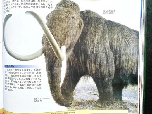 《DK探索百科：生命》-分销 商品图3