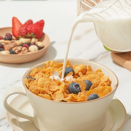 家乐氏玉米片340G Corn Flakes 商品图1