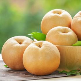 有机秋月梨(单颗) Organic Autumn Moon Pear