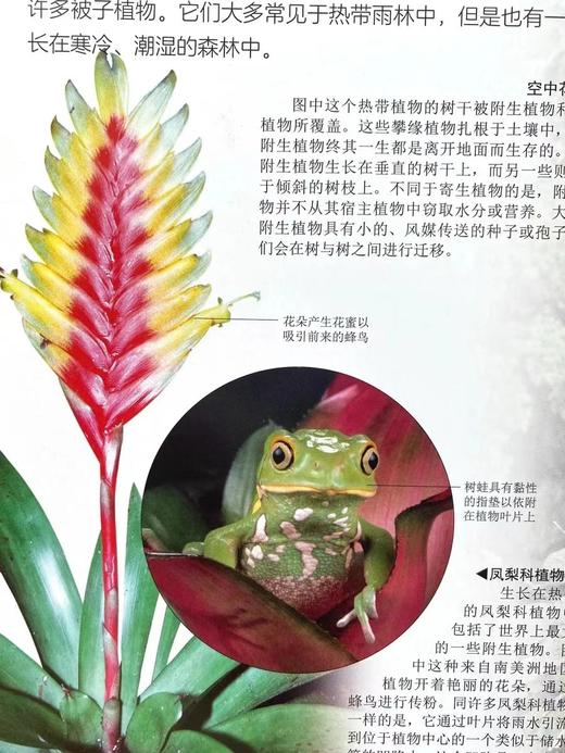 《DK探索百科：生命》-分销 商品图1