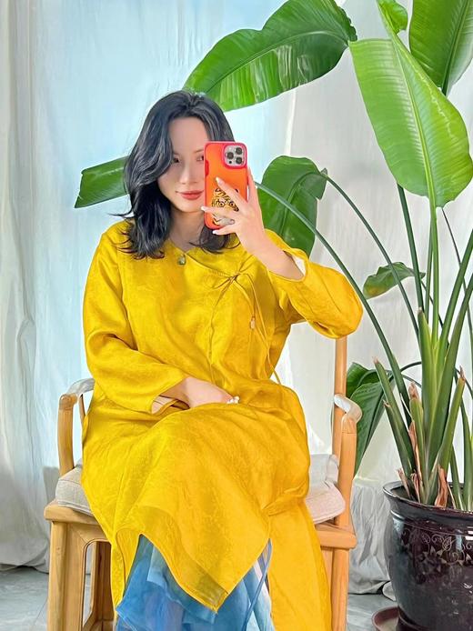 【抖音专属】高定连衣裙（22807089九斤黄） 商品图1