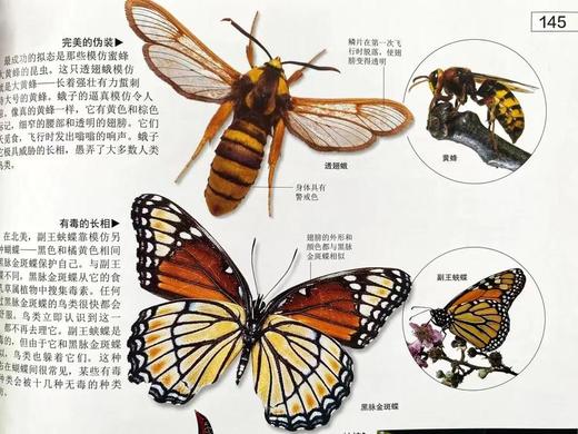 《DK探索百科：生命》-分销 商品图4