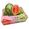 小吊瓜 冰淇淋小西瓜  红肉 商品缩略图3