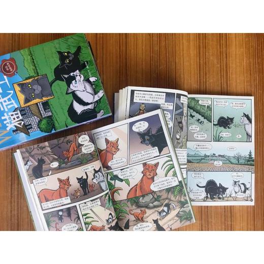 猫武士 灰条三部曲(1-3) 商品图4