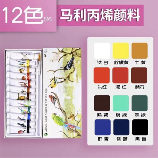 马利牌丙烯颜料12色24色套装5ml彩绘diy涂鸦专用小支画画颜料防水不掉色儿童小学生用玛丽马力牌初学者绘画美术生专业画画专用材料1盒 商品图7