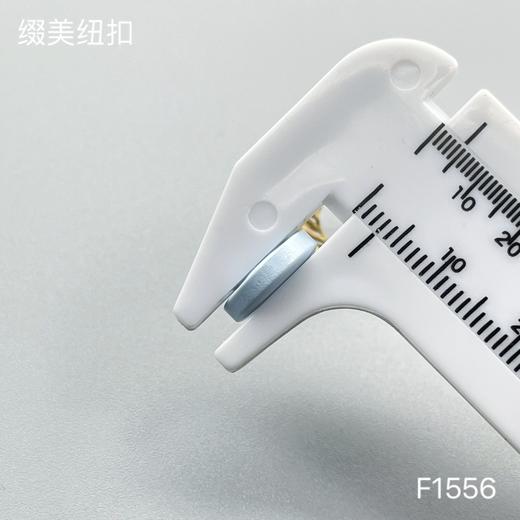 F1556(整包购买) 商品图5