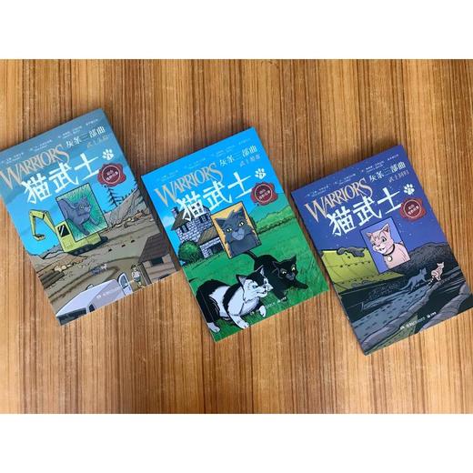 猫武士 灰条三部曲(1-3) 商品图3
