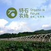 苦瓜1斤 | 广东惠州特石有机农业【只发广东】 商品缩略图1