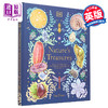 预售 【中商原版】DK典藏博物馆 大自然的宝藏 Nature s Treasures 英文原版 Tales Of More Than 100 From Nature Ben Hoare 趣味百科 商品缩略图0