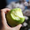 生态金冠苹果（黄元帅） | 合作生产 *Eco- apple | Coproduction 商品缩略图6