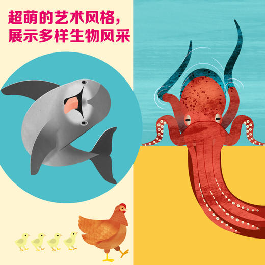 不可思议的动物 商品图2