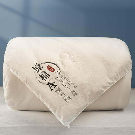 【 原棉大豆纤维被】温暖冬日 陪你进入更好睡眠 一款不一样的冬被 像睡在柔软的云层中 商品图5