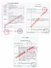 【大直径】4YOUTHCON-巧乐兹粉14.5mm【年抛 0-800度 无525/575 】 商品缩略图6