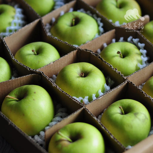 生态金冠苹果（黄元帅） | 合作生产 *Eco- apple | Coproduction 商品图9