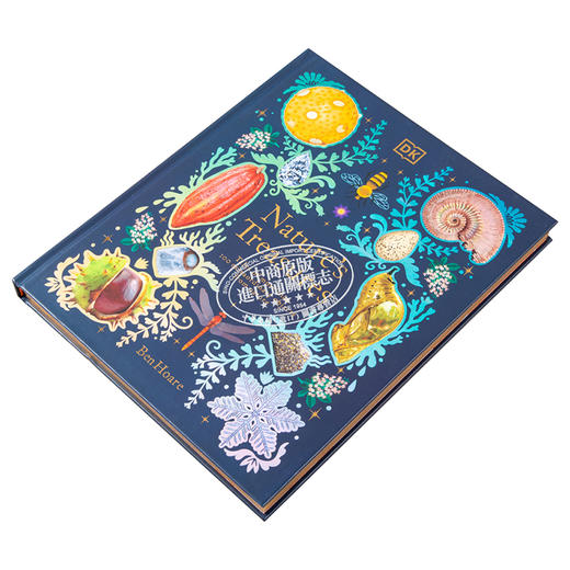 预售 【中商原版】DK典藏博物馆 大自然的宝藏 Nature s Treasures 英文原版 Tales Of More Than 100 From Nature Ben Hoare 趣味百科 商品图2