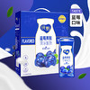 200g*10纯甄蓝莓果粒风味酸牛奶 营养早餐奶清新香甜 商品缩略图1