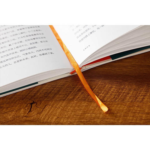 五湖四海 王安忆 著 富一代的发家简史良善人家的真假虚实改革开放的时代缩影 长篇文学小说 商品图5