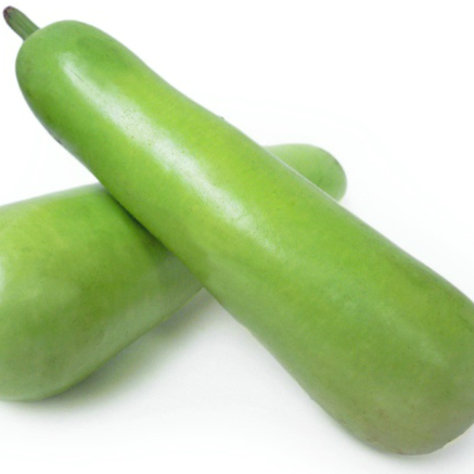 有机蒲瓜1斤 | 广东惠州 特石有机农业【只发广东】