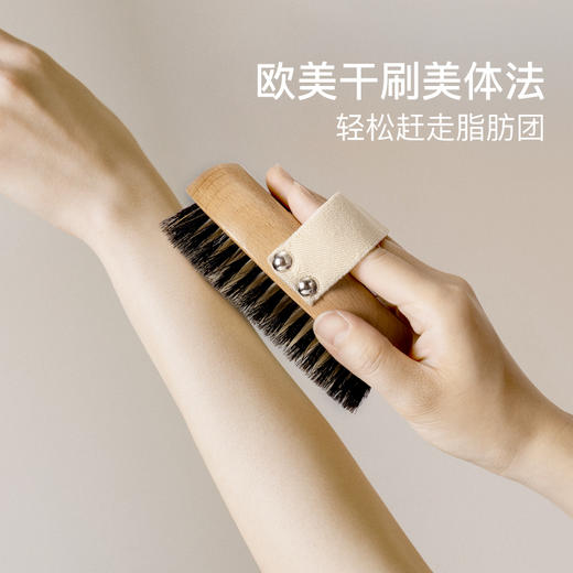 EverThames身体刷干刷猪鬃毛沐浴洗澡刷子去角质按摩搓背刷磨砂膏搓澡刷子 商品图2