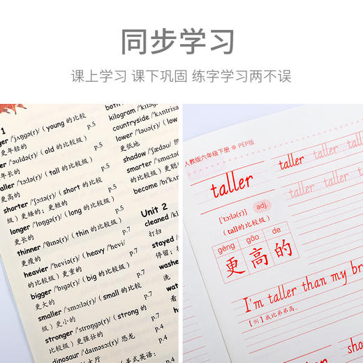 (仓发) 绍泽文化 小学生斜体英语单词描红本 练字本 人教版同步儿童临摹练字帖 六年级上下册/浙江工商大学出版社/王绍伟/6925960351501 商品图4