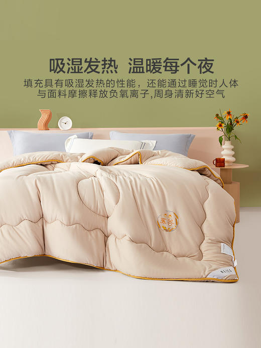 百丽丝家纺 五谷蛋白纤维被芯单双人春秋/冬款 亲肤柔顺 水星集团出品 48小时发货 商品图0