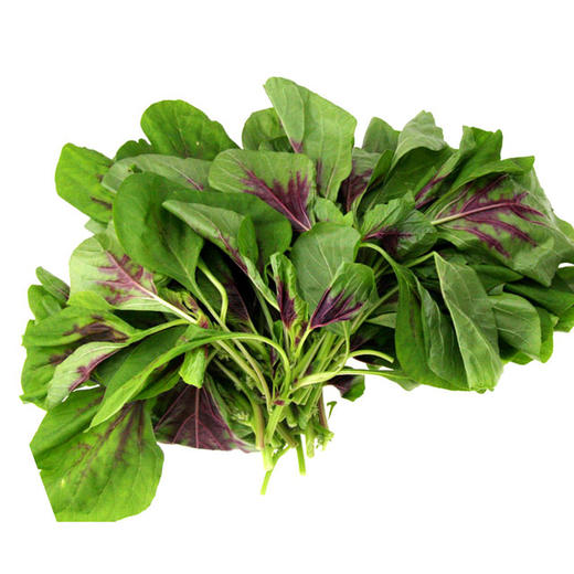 红苋菜0.8斤 | 广东惠州特石有机农业【只发广东】 商品图0