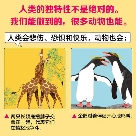 不可思议的动物 商品图4