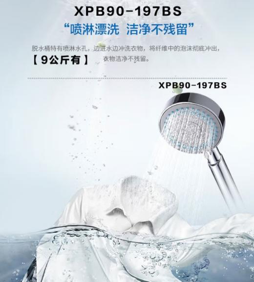 海尔（Haier）洗衣机 [XPB90-197BS] 9公斤大容量家用半自动洗衣机 双缸双桶强劲动力 双净力 水电分离 防鼠底座操作简单 商品图5