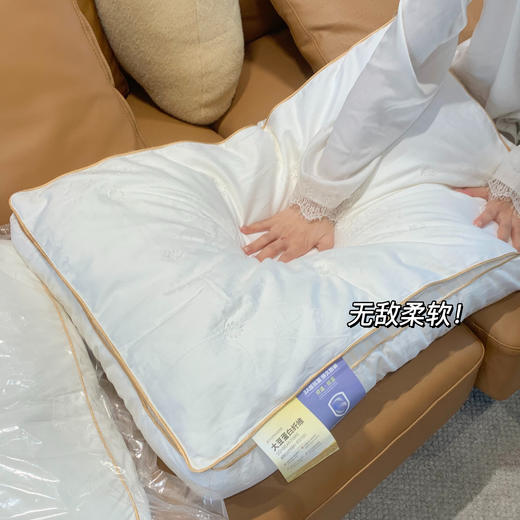 园园亲选南通家居顶柔桑蚕丝二合一枕！防螨滋养久睡不塌享受睡眠 商品图1