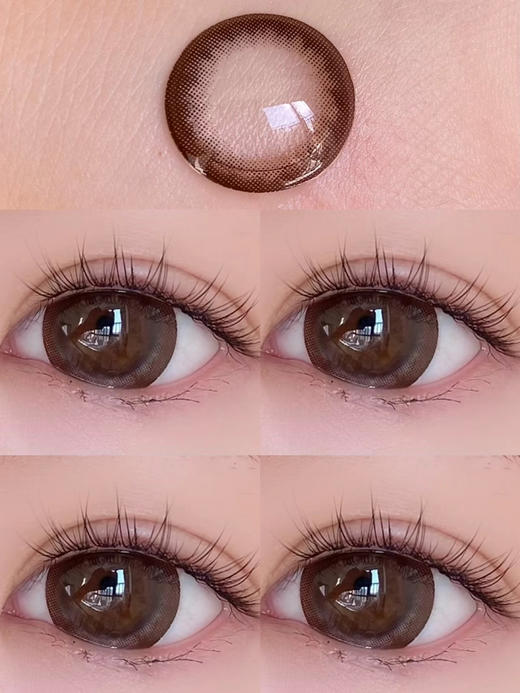 【大直径】Agenscolor-布朗尼14.5mm 【年抛 0-1000度 无525/575】 商品图5