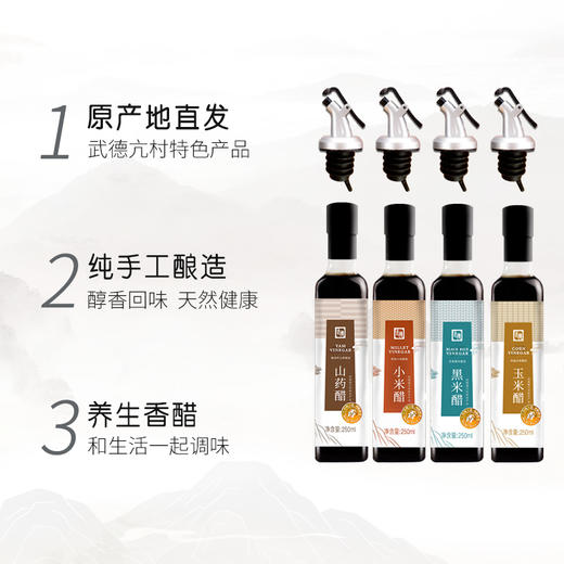 武德亢村香醋 纯粮酿造养生醋 高端礼盒送礼专用 商品图4