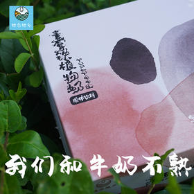 她念她乡植物拿铁30gx10袋