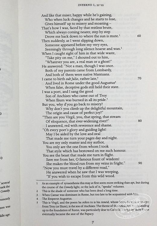 【中商原版】但丁 神曲 700周年纪念版 The Divine Comedy 700th Anniversary Edition 英文原版 Dante Alighieri 商品图7