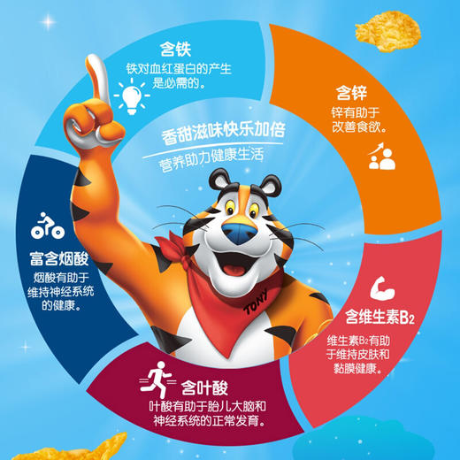 家乐氏香甜玉米片 300G  Frosties 商品图2