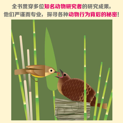 不可思议的动物 商品图1