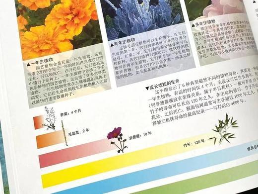 《DK探索百科：生命》-分销 商品图5