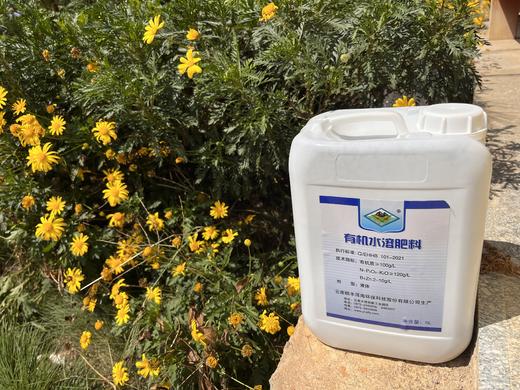 液体肥 洱海牌液体肥 小包装液体肥 商品图1