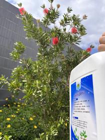 液体肥 洱海牌液体肥 小包装液体肥