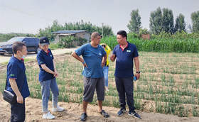 大葱亩产量一般是多少公斤?种植大葱一亩利润多少?