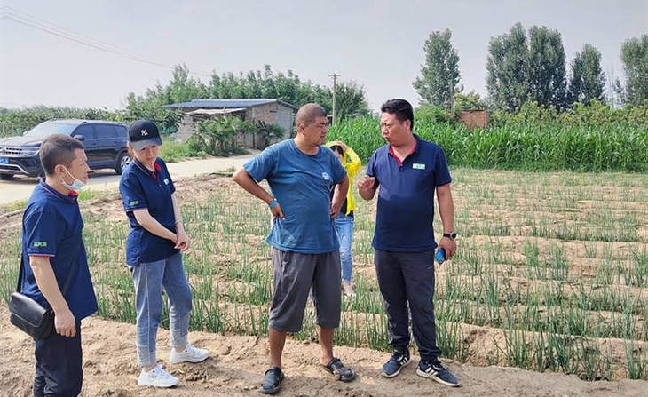 葱满满指导葱友