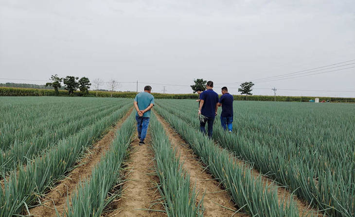 葱满满线下技术指导